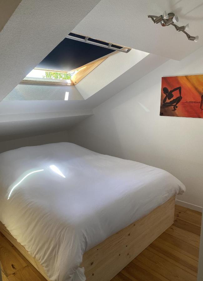 Apartmán T3 Duplex6 Hyper-Centre Climatise Albi Exteriér fotografie